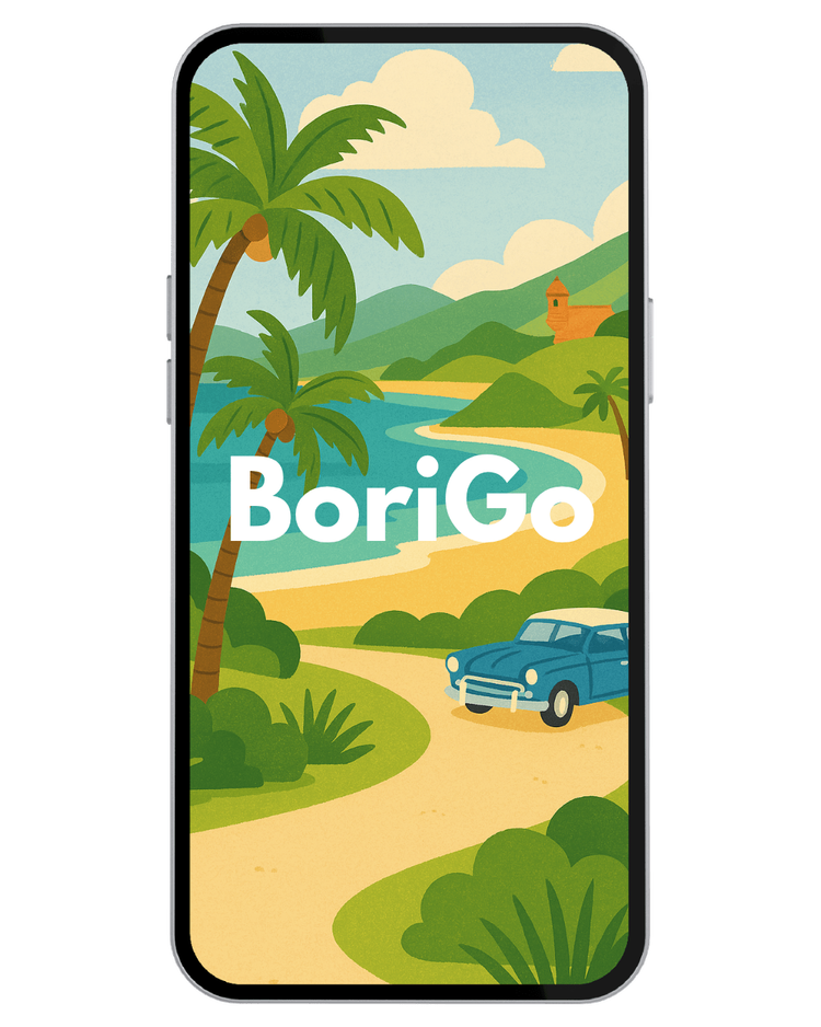 BoriGo app preview